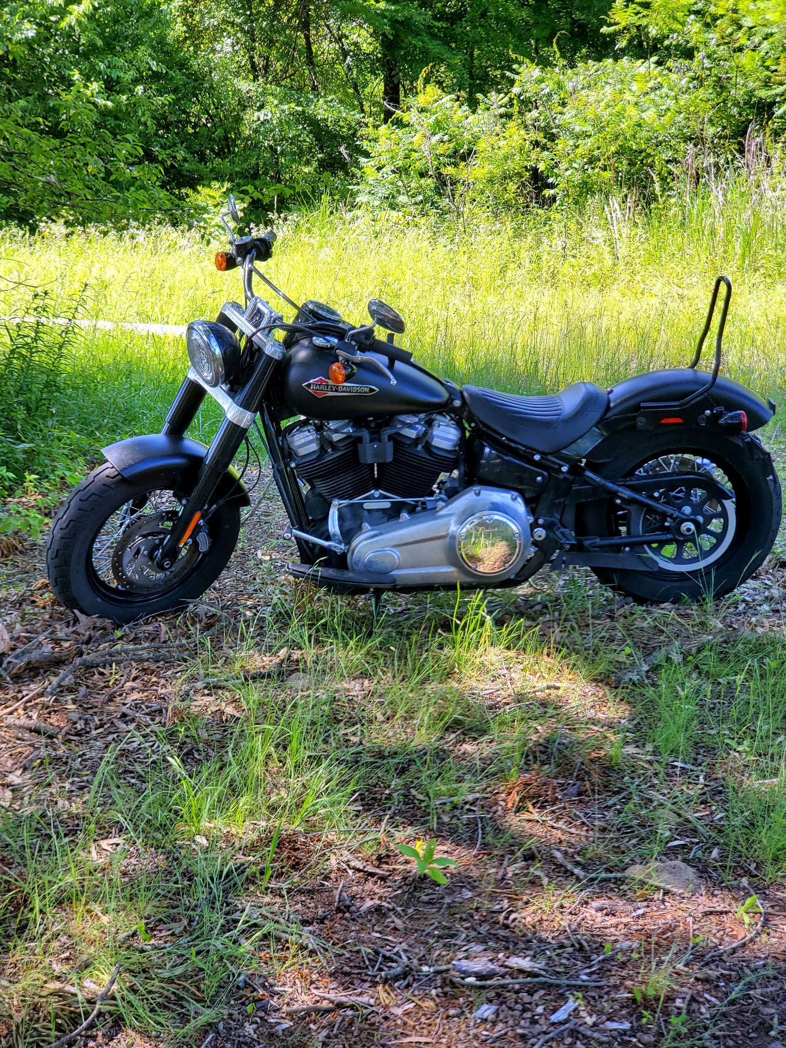 New Mexico Through My Lens photograph